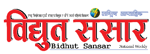 bidhutsansar logo