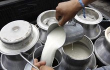 दूध आयातमा लगाइएको प्रतिबन्धको डेरी सङ्घद्वारा स्वागत